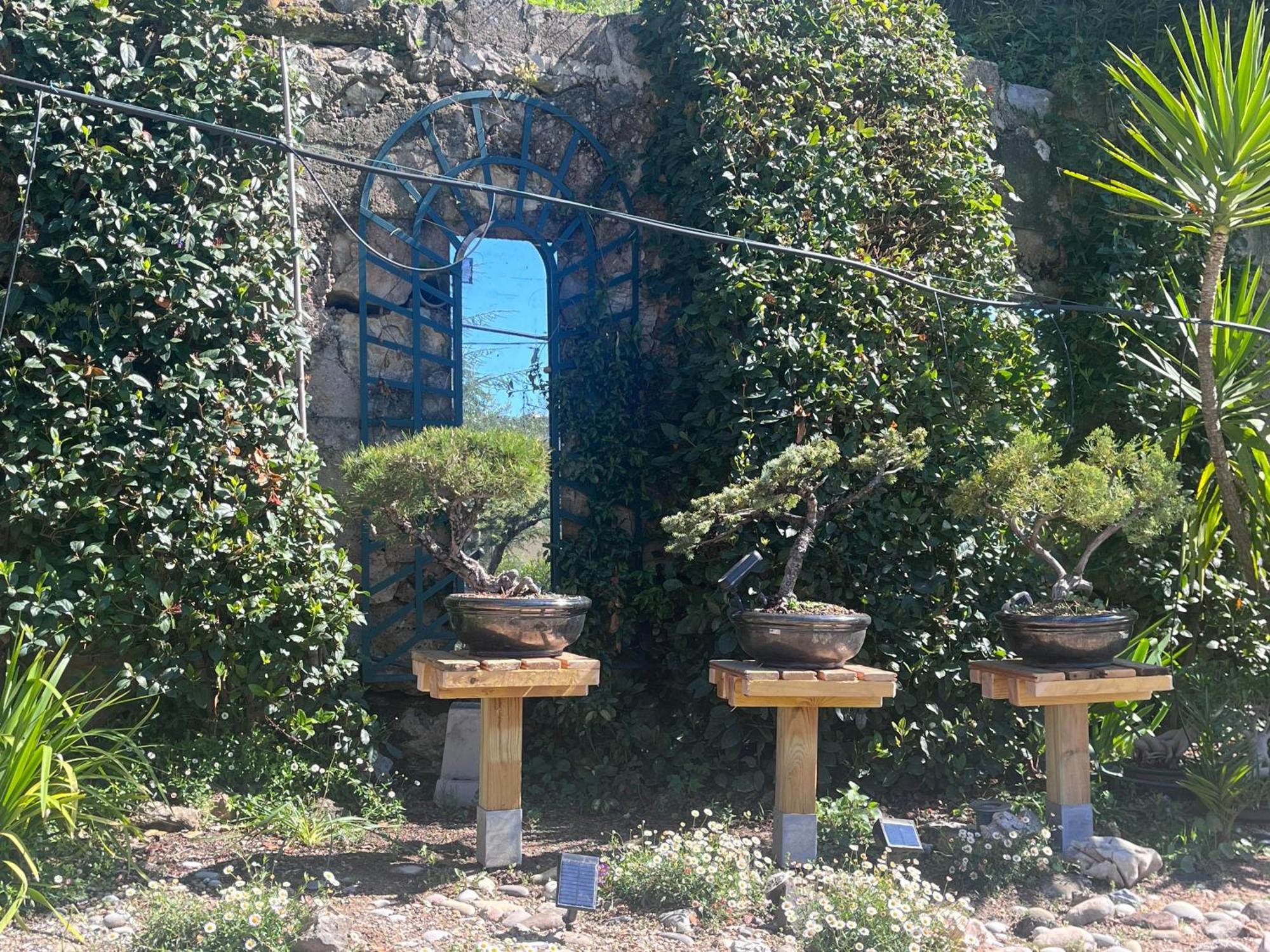 Hotel Lou Pero Mousco Saint-Paul-en-Forêt Zewnętrze zdjęcie